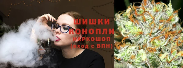 стаф Кодинск