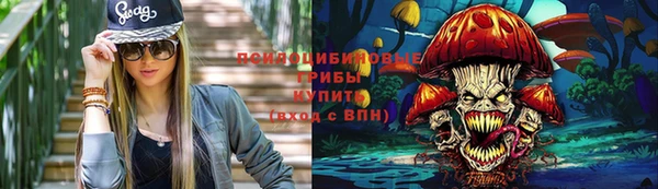 героин Алексин