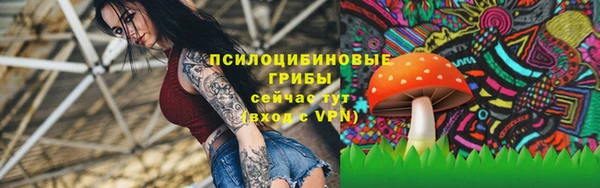 ECSTASY Козловка